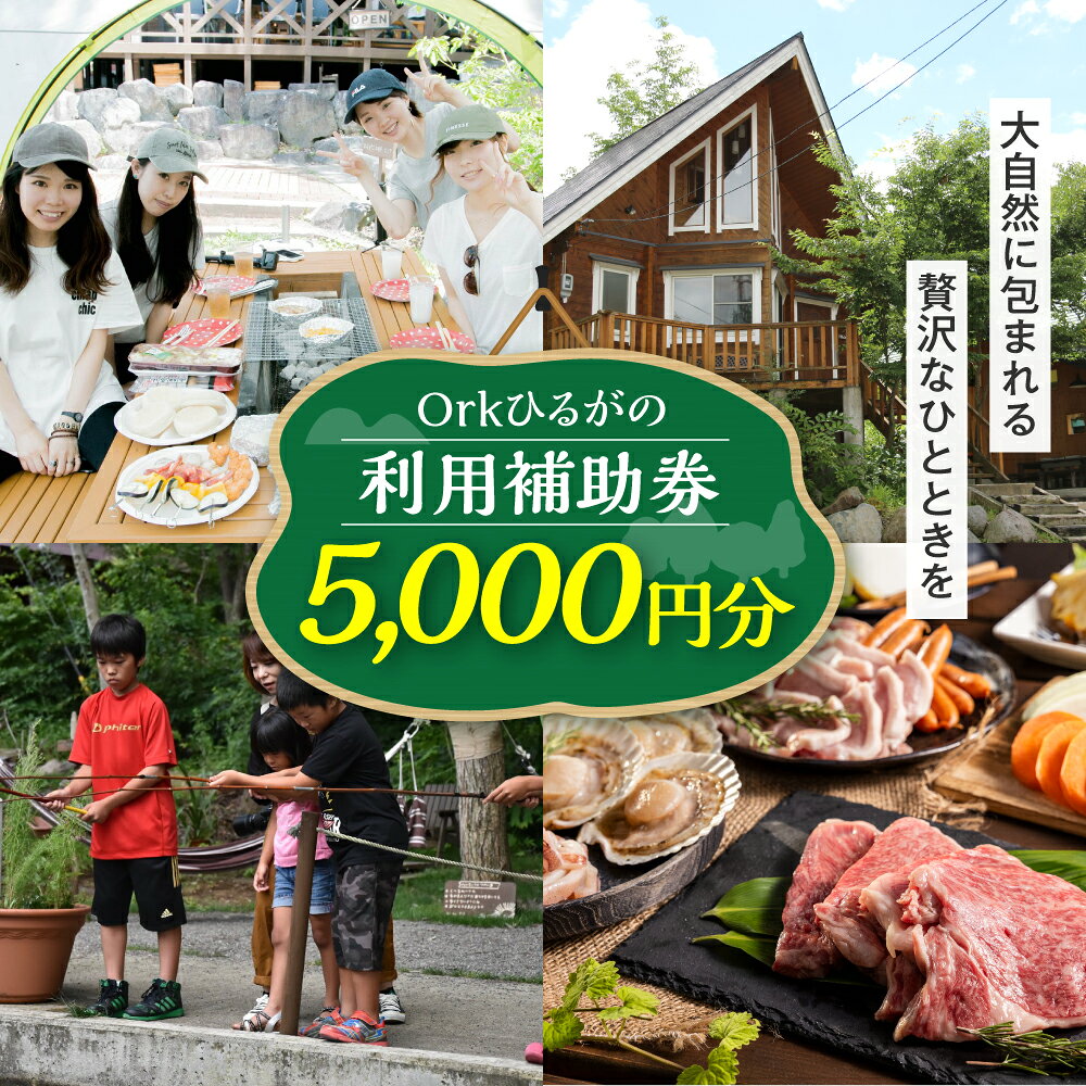 Orkひるがの 利用補助券 5000円分 1棟貸し 別荘 宿泊 貸し別荘 自然体験 BBQ 釣り堀体験 掴み取り体験 チケット 田舎体験 観光 旅行 コテージ泊 サウナ付きコテージ バーベキュー 郡上市 岐阜県 ひるがの高原 郡上観光