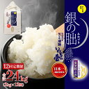【ふるさと納税】新米【定期便】【2023年産米】2kg×12