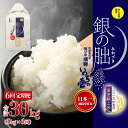【ふるさと納税】新米【定期便】【2023年産米】5kg×6回