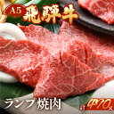 【ふるさと納税】A5飛騨牛ランプ焼肉 470g【冷凍】 焼き肉 牛肉　焼肉 肉 和牛 人気 ブランド牛 肉ギフト 国産 贈答品 焼き肉用 ギフト 和牛 25000円 2万5千円 岐阜県 下呂市