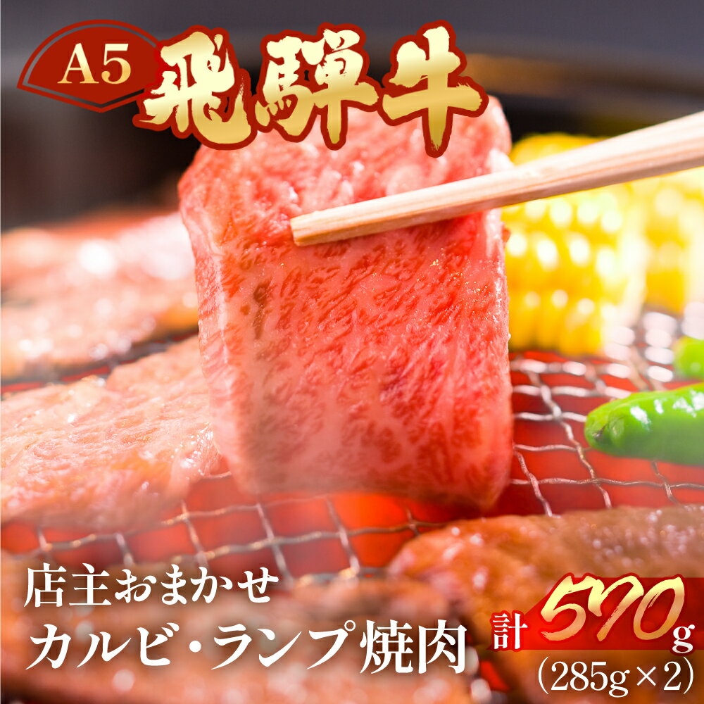 A5飛騨牛ミックスカルビ・ランプ焼肉 570g(285g×2)[冷凍] 部位お任せ 訳あり 焼き肉 牛肉 焼肉 肉 和牛 人気 ブランド牛 肉ギフト 国産 贈答品 焼き肉用 ギフト 和牛 25000円 2万5千円 岐阜県 下呂市