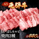 【ふるさと納税】飛騨牛 焼肉 2種セット 計440g (赤身