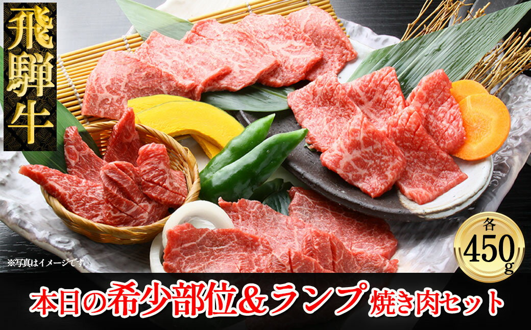 飛騨牛本日の希少部位・ランプ焼肉セット各450g [冷凍] 冷凍配送 希少部位450g 飛騨牛ランプ450g 900g 飛騨牛 下呂温泉 おすすめ 牛肉 ブランド牛 肉ギフト 国産 贈答品 焼肉用 焼肉 焼肉セット 焼き肉 ギフト 希少部位 ランプ 2種 49000円