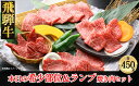 飛騨牛 【ふるさと納税】 飛騨牛本日の希少部位・ランプ焼肉セット各450g 【冷凍】　冷凍配送　希少部位450g 飛騨牛ランプ450g 900g 飛騨牛 下呂温泉 おすすめ 牛肉 ブランド牛 肉ギフト 国産 贈答品 焼肉用 焼肉 焼肉セット 焼き肉 ギフト 希少部位 ランプ 2種 49000円