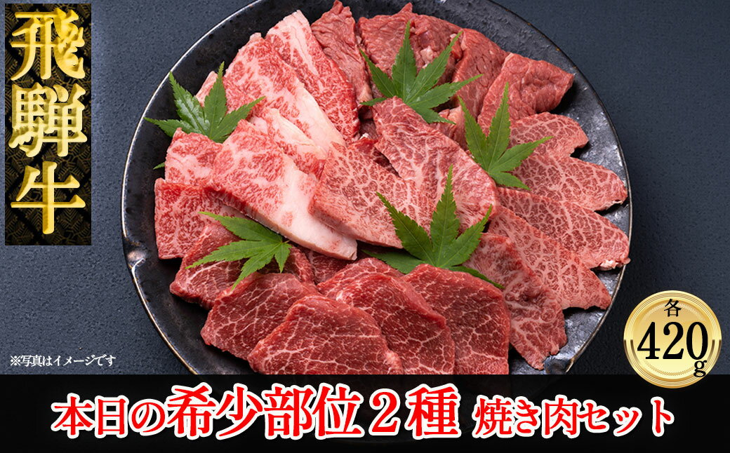 飛騨牛 本日の希少部位 2種 焼肉 牛肉セット計840g　【冷凍】 希少部位420g ×2種 下呂温泉 おすすめ 牛肉 肉 和牛 赤身 人気 ブランド牛 肉ギフト 国産 贈答品 焼肉用 焼肉 焼肉セット 焼き肉 ギフト 47000円 岐阜県 下呂市