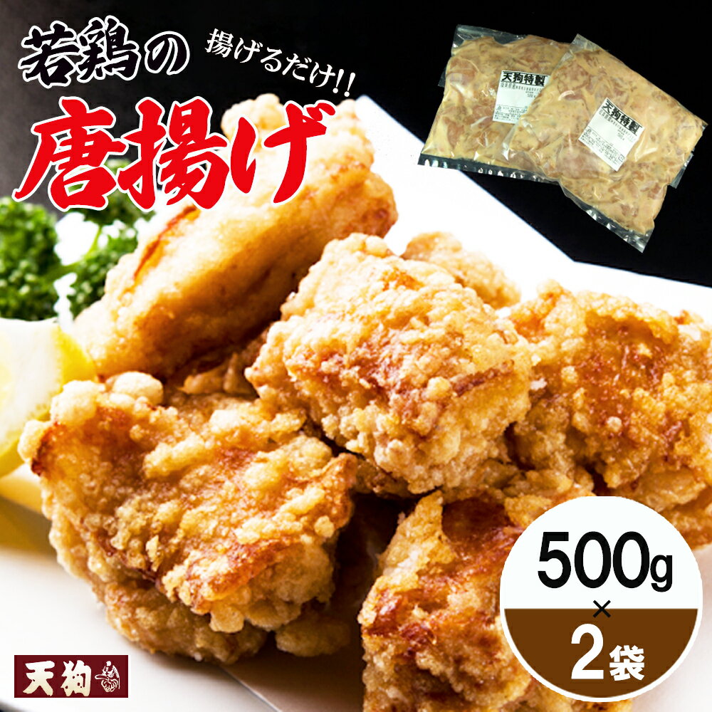 若鶏の唐揚げ用(揚げるだけ)500g(約2〜3人前)×2袋 (1kg)[冷凍]鶏肉 からあげ から揚げ 味付き 天狗 9000円 岐阜県 下呂市