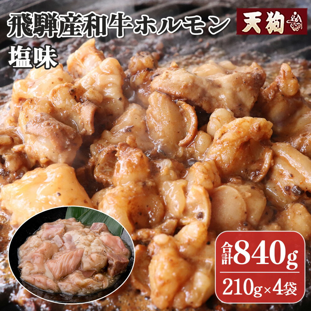 飛騨産和牛ホルモン 塩味 210g×4袋[冷凍]牛肉 牛ホルモン しお味 焼くだけ 簡単 贈答品 ギフト BBQ アウトドア 味付き 10000円 岐阜県 下呂市