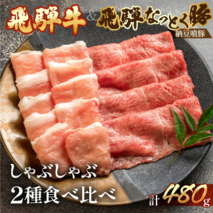 飛騨牛 ＆ 飛騨なっとく豚 しゃぶしゃぶ 計480g 【冷凍】牛肉 もも 240g 飛騨納豆喰豚ロース 240g 下呂温泉 ブランド 肉ギフト 国産 贈答品 しゃぶしゃぶ用 ギフト なっとくとん なっとく豚 和牛 15000円