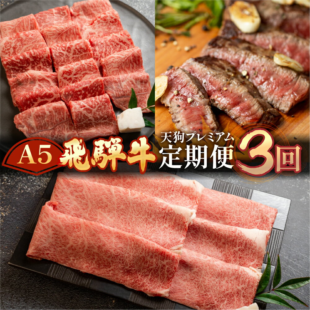 飛騨牛 【ふるさと納税】 A5 飛騨牛 天狗 定期便 3回 (ステーキ / すき焼き / 焼肉) 牛肉 赤身 霜降り 希少部位 イチボ ランプ もも 肩ロース 肉 下呂温泉 おすすめ 牛肉 ブランド牛 肉ギフト 国産 焼き肉 しゃぶしゃぶ ギフト お楽しみ 50,000円 5万円　高級牛肉 岐阜県 下呂市