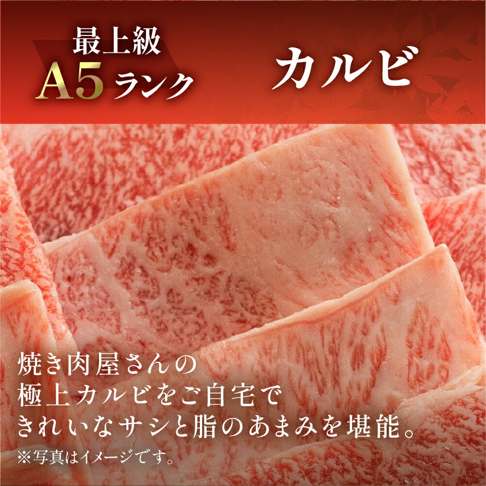 【ふるさと納税】A5 飛騨牛 A5飛騨牛 特選霜降りカルビ 530g【冷凍】 部位お任せ 訳あり 焼き肉 牛肉　焼肉 肉 和牛 人気 ブランド牛 肉ギフト 国産 贈答品 焼き肉用 ギフト 和牛 30000円 3万円 岐阜県 下呂市