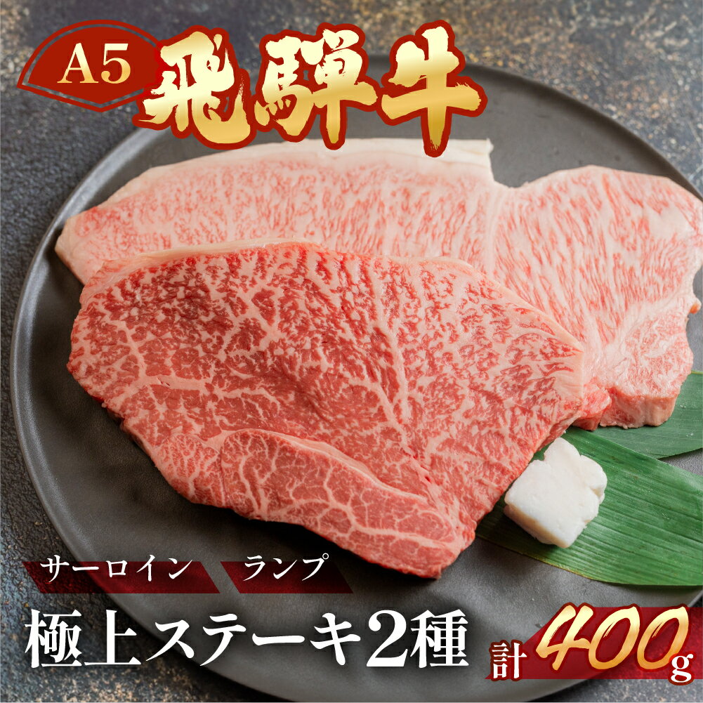 A5 飛騨牛 ステーキ2種 サーロイン / ランプ 約400g(約200g×2枚) 牛肉 赤身 霜降り[冷凍]牛肉セット ステーキ肉 下呂温泉 おすすめ 肉 和牛人気 ブランド牛 肉ギフト 国産 贈答品 ギフト 和牛 27000円 2万7千円 岐阜県 下呂市