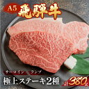 【ふるさと納税】A5 飛騨牛サーロイン・ランプステーキ 約380g(約190g×各1枚)) 牛肉 赤身 霜降り【冷凍】牛肉セット ステーキ肉 下呂温泉 おすすめ 肉 和牛人気 ブランド牛 肉ギフト 国産 贈答品 ギフト 和牛 27000円 2万7千円 岐阜県 下呂市