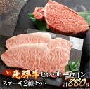【ふるさと納税】 飛騨牛ヒレ・サーロインステーキセット(ヒレ約500g(3~4枚)/サーロイン約380g(2枚))【冷凍】冷凍配送 ヒレステーキ 500g サーロインステーキ 380g 飛騨牛 下呂温泉 おすすめ 牛肉 ブランド牛 肉ギフト 国産 贈答品 ステーキ ギフト ヒレ サーロイン