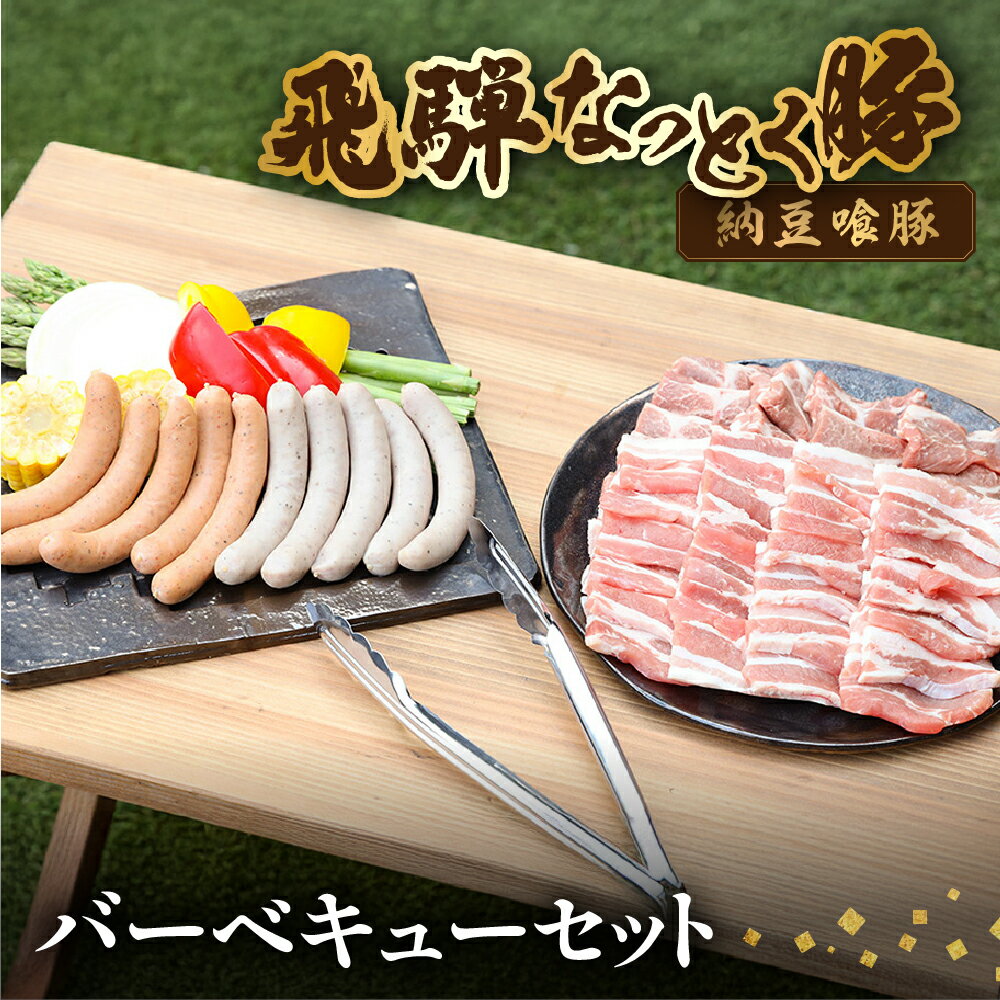 【ふるさと納税】【年内順次発送】 年内配送 飛騨納豆喰豚バーベキューセット 【冷凍】冷凍配送 ロース・ばらカルビ 各360g 飛騨納豆喰豚ウインナー 5本(150g)×1・ピリ辛ウインナー 5本(150g)×1 年内配送 年内発送 年内に届く 年内お届け