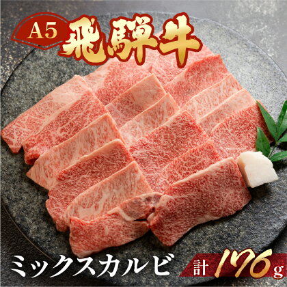 飛騨牛 A5 ミックスカルビ 176g（約2人前）【冷凍】牛肉 肉 和牛 赤身 人気 カルビ 焼肉 牛 天狗飛騨牛 下呂温泉 牛肉 肉 和牛 赤身 人気 国産 贈答品 真空 BBQ バーベキュー 7000円