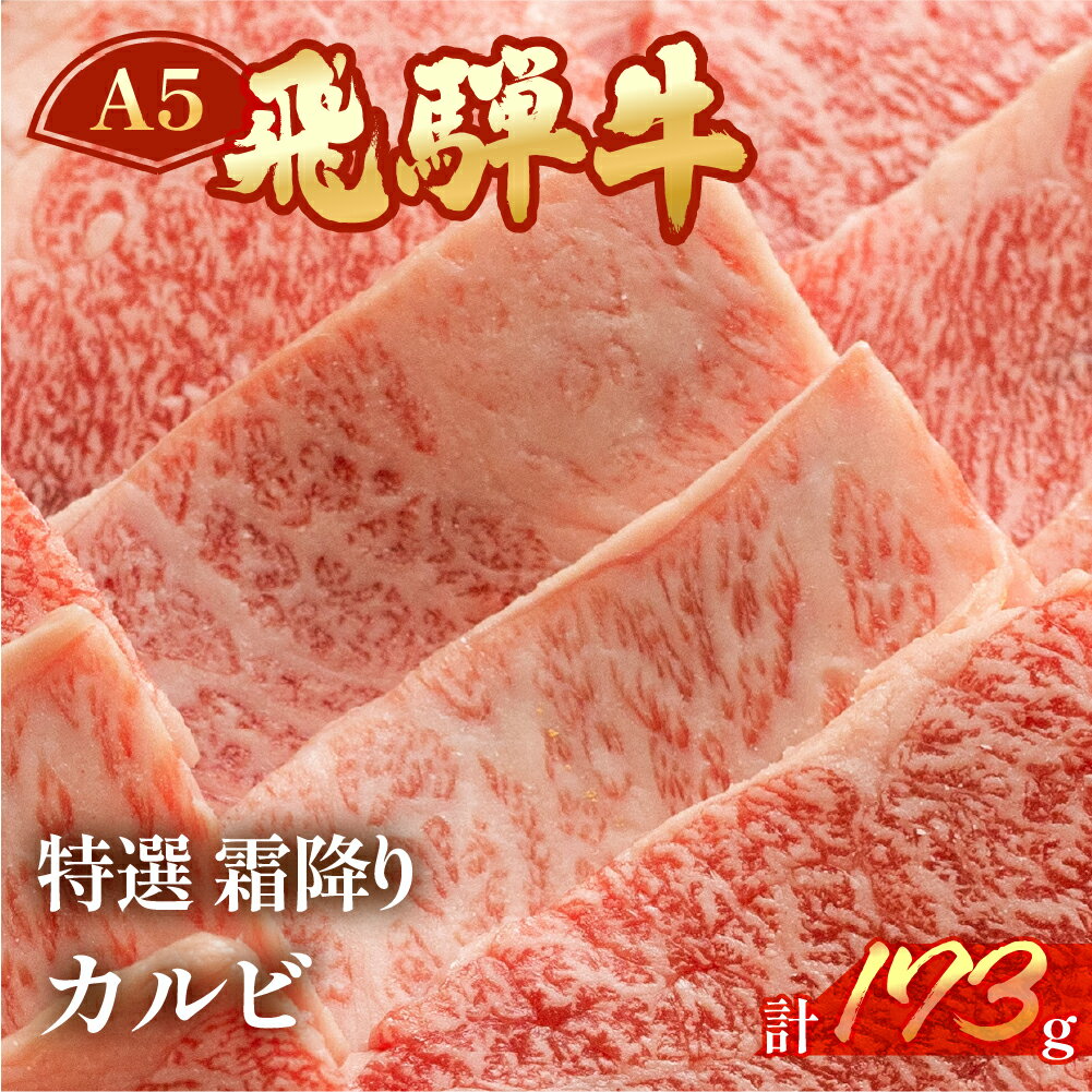 飛騨牛 A5 特選霜降りカルビ 173g(約2人前)[冷凍 真空]牛肉 霜降り しもふり 焼肉 牛 天狗 ブランド牛 焼き肉 下呂市 飛騨 BBQ バーベキュー 10000円