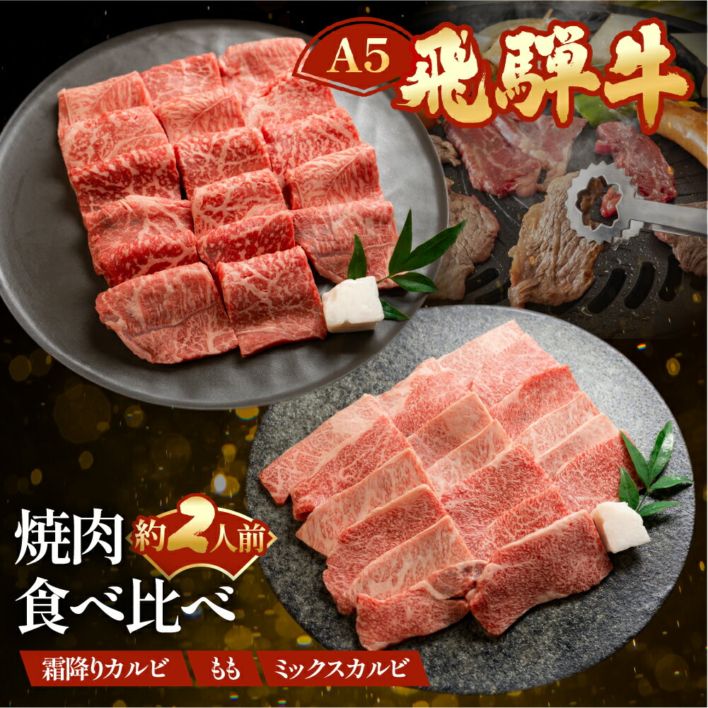 【ふるさと納税】飛騨牛A5 食べ比べ3種セット(特選霜降りカルビ 173g・もも焼肉 139g・ミックスカルビ176g)【冷凍 真空】牛肉 霜降り しもふり モモ 赤身 カルビ 焼肉 牛 天狗 22000円