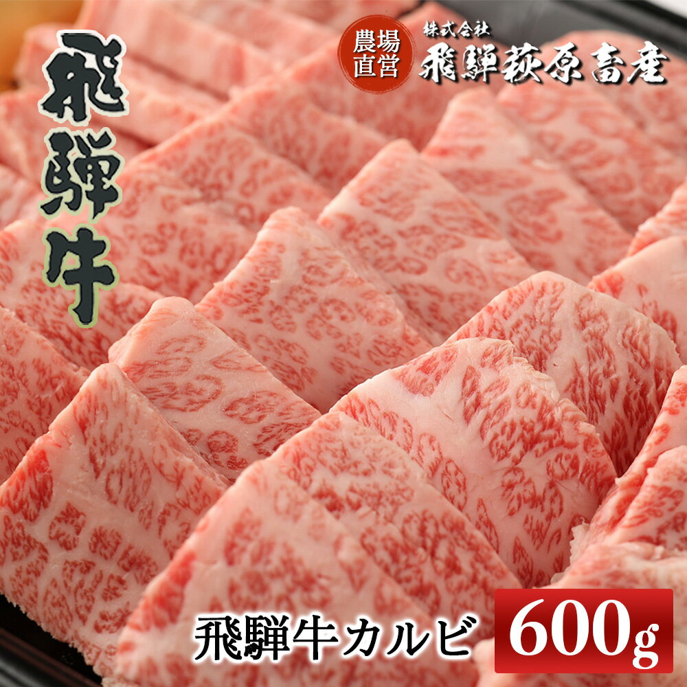 飛騨牛 カルビ　600g　【冷凍】和牛 ブランド牛 下呂温泉 ギフト 贈り物 贈答 焼肉 霜降り 牛肉 肉 和牛 赤身 人気 カルビ アウトドア お中元 お歳暮 父の日 敬老の日 母の日 お祝 31000円 岐阜県 下呂市