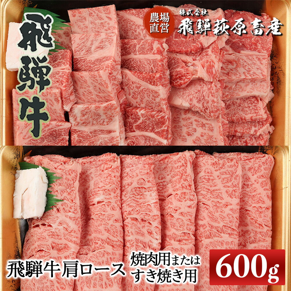 飛騨牛 肩ロース　600g　（焼肉用または　すき焼き用）【冷凍】　ギフト 和牛 ブランド牛 下呂温泉 贈り物 贈答 ロース 焼肉 すき焼き お歳暮 お中元 牛肉 肉 和牛 赤身 人気 飛騨飛騨牛 44000円 岐阜県 下呂市