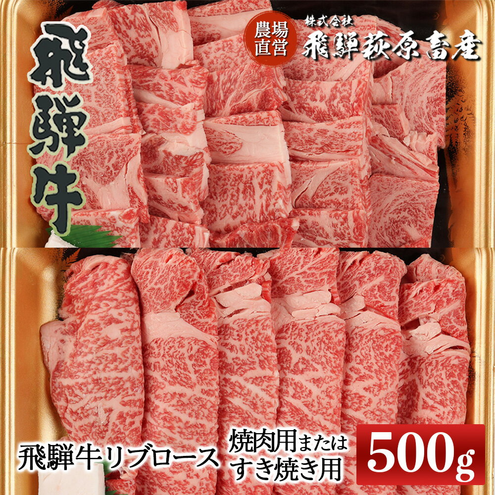 【ふるさと納税】飛騨牛 リブロース 500g 焼肉用 または すき焼き用 【冷凍】ギフト 和牛 ブランド牛 下呂温泉 贈り物 贈答 ロース 焼肉 すき焼き 牛肉 肉 和牛 赤身 人気 飛騨飛騨牛 お歳暮 …