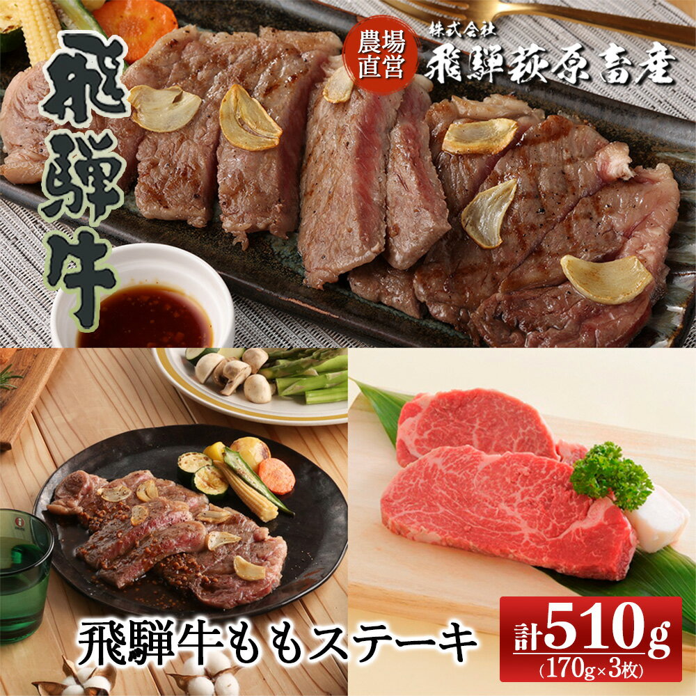 飛騨牛 ももステーキ170g×3飛騨牛 170g 【冷凍】下呂温泉 オススメ 国産 和牛 牛肉 肉 和牛 赤身 人気 ブランド牛 ステーキ 牛肉セット BBQ 飛騨萩原畜産 ギフト 贈答 贈り物 29000円 岐阜県 下呂市