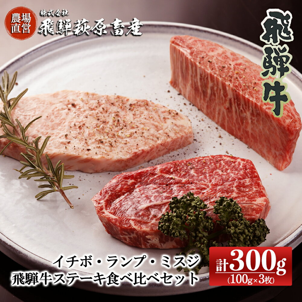 肉・セット 【ふるさと納税】希少部位3種を食べ比べ！飛騨牛ステーキ食べ比べセット 計300g（イチボ 100g×1枚・ランプ 100g×1枚・ミスジ 100g×1枚）【冷凍】最高級 国産 牛肉 ブランド牛 和牛 下呂温泉 飛騨 ギフト 贈り物 贈答 赤身 霜降り 父の日 母の日 お歳暮 お中元 お祝い