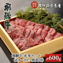 名称牛肉産地岐阜県下呂市内容量飛騨牛もも焼肉用 300g 飛騨牛かた焼肉用 300g （合計 600g）原材料飛騨牛消費期限【冷凍】加工日より180日 ※冷蔵庫での解凍をおすすめします 【冷蔵】発送日を含む3日配送方法※原則「冷凍便」での発送です。「冷蔵発送」をご希望の場合は備考欄にご記載下さい。その際はお受け取りには十分ご注意下さい。 ※ご不在にされる予定がございましたら、備考欄にご記載ください。保存方法【保存温度】−20度以下 ※解凍方法　冷蔵庫での解凍をおすすめします提供(株)飛騨萩原畜産直売店発送期日決済から30日以内に発送（年末年始を除く） ※お申し込み状況により2〜3ヵ月程度お時間を頂く場合がございます。【ふるさと納税】飛騨牛赤身焼肉セット 600g（もも焼肉 300g・かた焼肉 300g）【冷凍】 国産食感や味わいの異なる2種類のお肉をセットにいたしました。 【もも肉】脂肪分が少なく食べやすい部位。 【かた肉】赤身が多く旨味が豊富で濃厚な味わい。 それぞれのお肉の旨みを存分にご堪能ください。 飛騨牛は特別な食卓や、ギフトにもおすすめです。 ぜひ一度ご賞味くださいませ。贈り物にも選ばれています。安心安全にこだわり、自社農場で育てた飛騨牛のみを使用しています。美味しい・安心・安全の精肉販売！！ブランド和牛「飛騨牛」「飛騨牛」とは、飼養期間が最も長い場所が岐阜県であり、飛騨牛銘柄推進協議会登録農家制度にて認定・登録された生産者により14ヶ月以上肥育された黒毛和種の肉牛のうち、社団法人日本食肉格付協会が実施する牛枝肉格付により肉質等級5等級・4等級・3等級と格付けされたものであることを協議会事務局が確認し、認定された牛肉のみに与えられる銘柄です。だからこそ自信がある!!飛騨萩原の大自然、その源泉でもある美味しい空気に山からの湧水。 そして、農家である私たちがそれら大自然からの恵みをはじめ、先人達の努力と知恵を受け継ぎ、飼料や環境、血統に至る細部の細部までこだわって、最高級ブランドの一つにふさわしい飛騨牛を探求。 食肉となるまでのおよそ3年間、その間「愛牛の心」を胸に休む時間も忘れて愛情を注ぎ続けて参りました。 私たち自身が育ててきた飛騨牛。 だからこそ「自信」があります。内閣総理大臣賞を頂きました！！飛騨牛の歴史は、昭和56年に兵庫県から導入された｢安福号」という1頭の種雄牛から始まりました。 それ以降長期にわたり農家、流通業者、関係団体などが努力をし力を合わせ現在日本の最高ブランドの一つとなることができました。 更に5年に1度開催される和牛のオリンピック（全国和牛能力共進会）では、平成14年には名誉賞である内閣総理大臣賞を受賞することができました。「ふるさと納税」寄附金は、下記の事業を推進する資金として活用してまいります。 寄附を希望される皆さまの想いでお選びください。 (1)消防、防災、交通安全、環境 (2) こども、子育て、福祉、健康、医療 (3) まちづくり、市民活動、地域振興 (4) 観光・商工・農林業振興 (5) 教育生涯学習、スポーツ、文化振興 (6) 特に指定なし（市長におまかせ） 特にご希望がなければ、市政全般に活用いたします。入金確認後、注文内容確認画面の【注文者情報】に記載の住所にお送りいたします。 発送の時期は、寄附確認後1ヵ月以内をを目途に、お礼の特産品とは別にお送りいたします。・寄附申込みのキャンセル、返礼品の変更・返品はできません。寄附者の都合で返礼品が届けられなかった場合、返礼品等の再送はいたしません。あらかじめご了承ください。 ・この商品はふるさと納税の返礼品です。スマートフォンでお申し込みの場合は「買い物かごに入れる」と表記されておりますが、寄附申込みとなりますのでご了承ください。 関連商品はこちら【ふるさと納税】飛騨牛カルビ　600g　...31,000円【ふるさと納税】飛騨牛肩ロース　600g...44,000円【ふるさと納税】飛騨牛リブロース　500...50,000円【ふるさと納税】飛騨牛　赤身スライス...21,000円【ふるさと納税】 飛騨牛カルビ300g 飛...17,000円