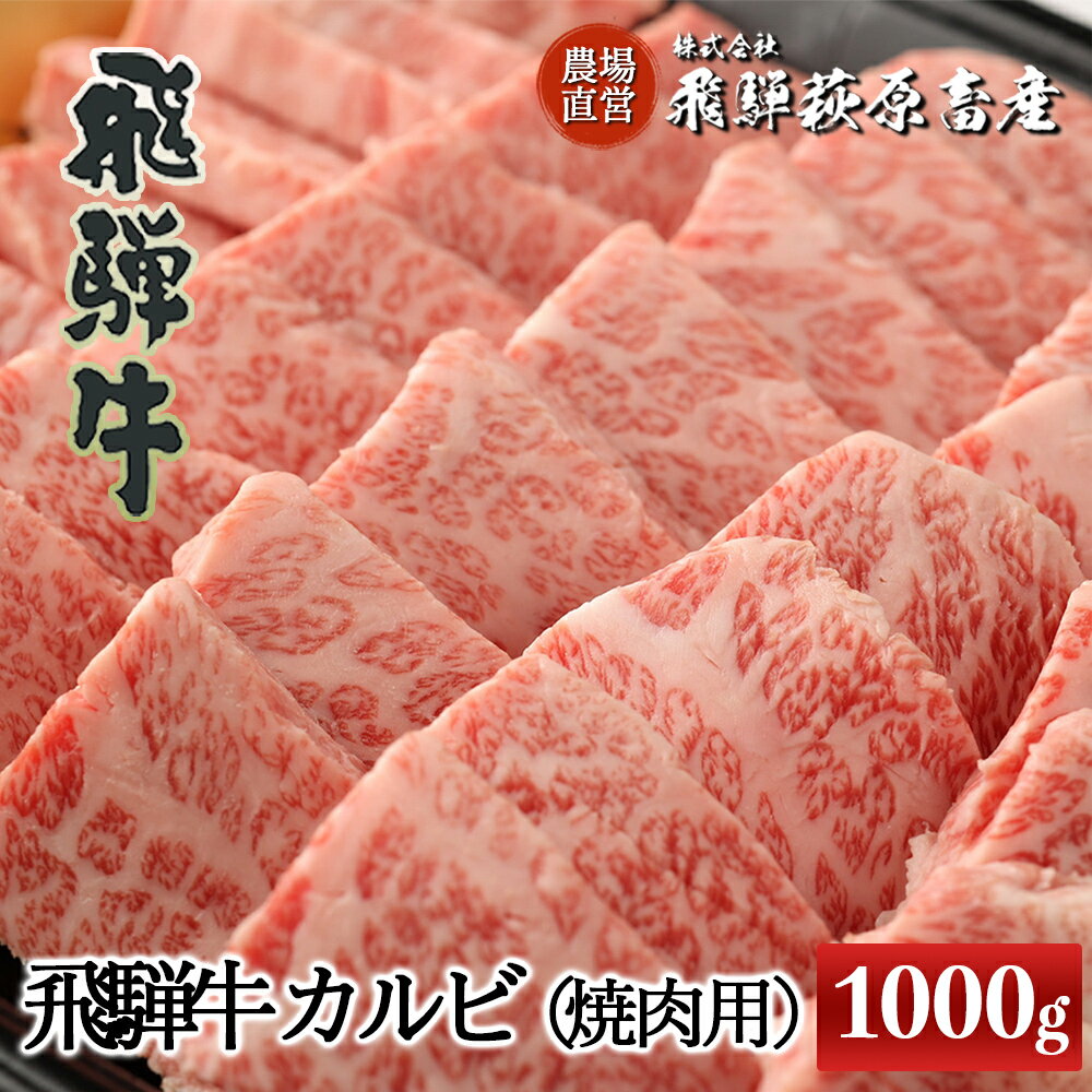 たっぷり大容量!飛騨牛 カルビ焼肉用(1kg)[冷凍]最高級 国産 牛肉 肉 和牛 赤身 人気 ブランド牛 和牛 大容量 焼き肉 やきにく BBQ バーベキュー 下呂温泉 飛騨 ギフト 贈り物 贈答 赤身 霜降り 父の日 母の日 お歳暮 お中元 お祝い 50000円