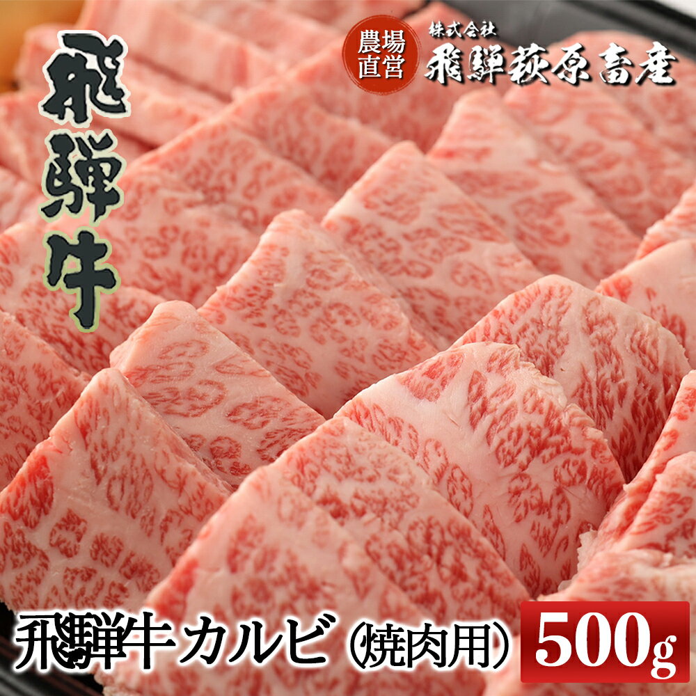 飛騨牛 カルビ焼肉用(500g)[冷凍]最高級 国産 牛肉 肉 和牛 赤身 人気 ブランド牛 和牛 焼き肉 やきにく BBQ バーベキュー 下呂温泉 飛騨 ギフト 贈り物 贈答 赤身 霜降り 父の日 母の日 お歳暮 お中元 お祝い 26000円 岐阜県 下呂市