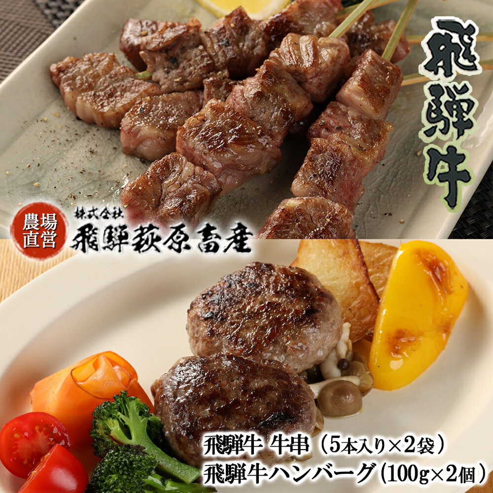 【ふるさと納税】飛騨牛 串焼き・飛騨牛 ハンバーグセット（牛串 10本・ハンバーグ 100g×2個）【冷凍】最高級 国産 牛肉 肉 和牛 赤身 人気 ブランド牛 和牛 BBQ バーベキュー 下呂温泉 飛騨 ギフト 贈り物 贈答 赤身 霜降り 父の日 母の日 お歳暮 お中元 お祝い 18000円