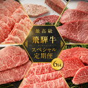 【ふるさと納税】【定期便 6回】飛騨牛 食べ尽くし定期便 6カ月(飛騨牛すき焼き 焼肉 ステーキ )ヒレ モモ 赤身 霜降り カルビ 希少部位 6回 高級 毎月...