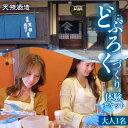 【ふるさと納税】【天領酒造】どぶろく体験ツアー チケット 1枚(1名様分)どぶろく 体験 オリジナル どぶろく造り 下呂市 チケット 酒