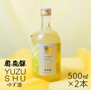 【ふるさと納税】奥飛騨ゆず酒(500ml×2本)セット 蔵元 奥飛騨酒造 下呂温泉 リキュール おすすめ 贈答品 贈り物 ギフト プレゼント お中元 父の日 母...