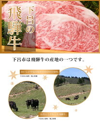 【ふるさと納税】飛騨牛しゃぶしゃぶセット 肩ロース400g・もも400g 下呂温泉 おすすめ 牛肉 ブランド牛 肉ギフト 国産 贈答品 しゃぶしゃぶ用　ギフト ロース もも･･･ 画像1