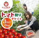 【ふるさと納税】2025年よりご利用可【期間限定】杤本農園 フルーツトマト狩りチケット 6kg プラン 1枚(3名まで) とまと トマト フルーツトマト チケッ...