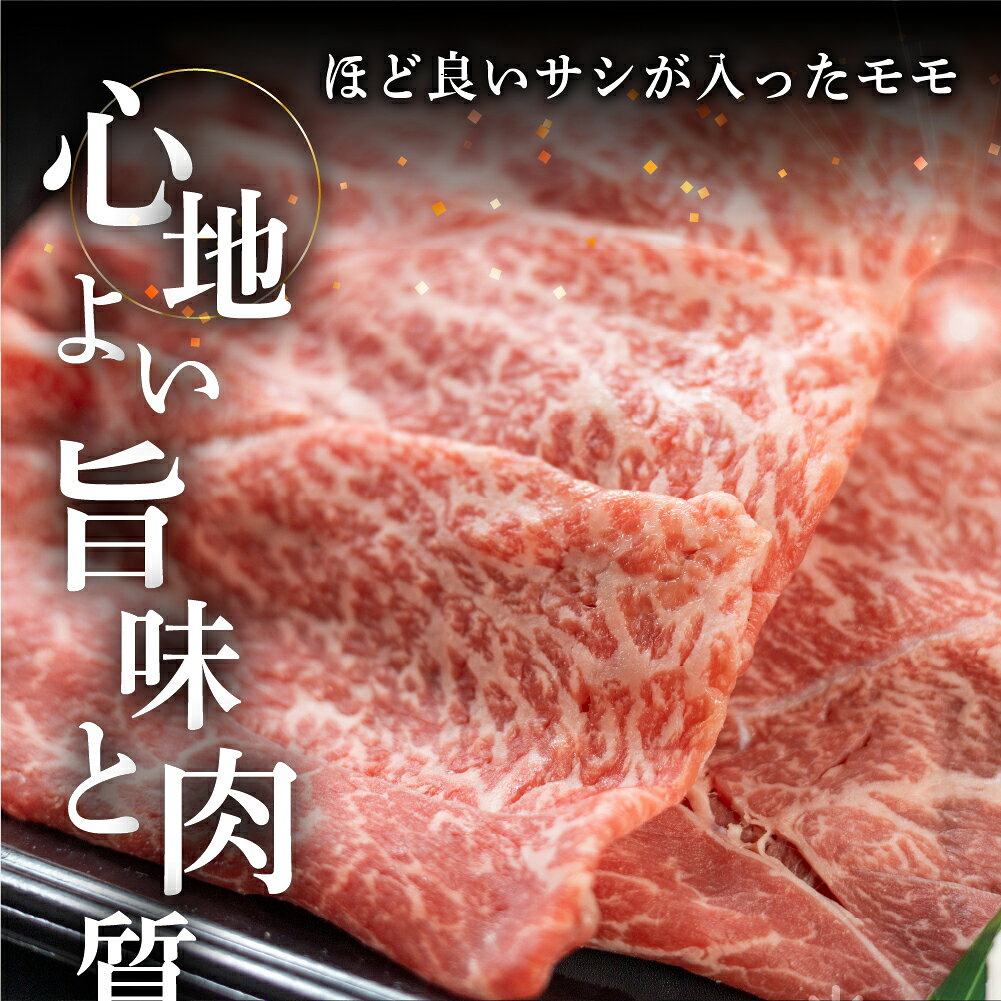 【ふるさと納税】菊の井 飛騨牛 モモ 赤身 ステーキ 400g (200g×2枚) ／600g (200g×3枚) 牛肉 赤身ステーキ ステーキ肉 下呂温泉 おすすめ 牛肉 肉 和牛 赤身 人気 ブランド牛 肉ギフト 国産　贈答品 もも ギフト【冷凍】 23000円 28000円 岐阜県 下呂市 f212202-gero-10001395 岐阜県下呂市 サンプル画像2