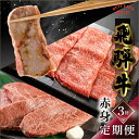 【ふるさと納税】飛騨牛菊の井赤身定...