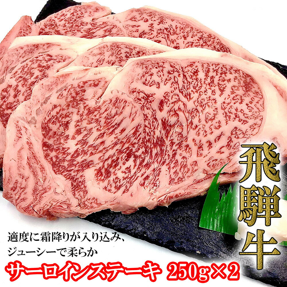 【ふるさと納税】 菊の井飛騨牛 サーロインステーキ 250g