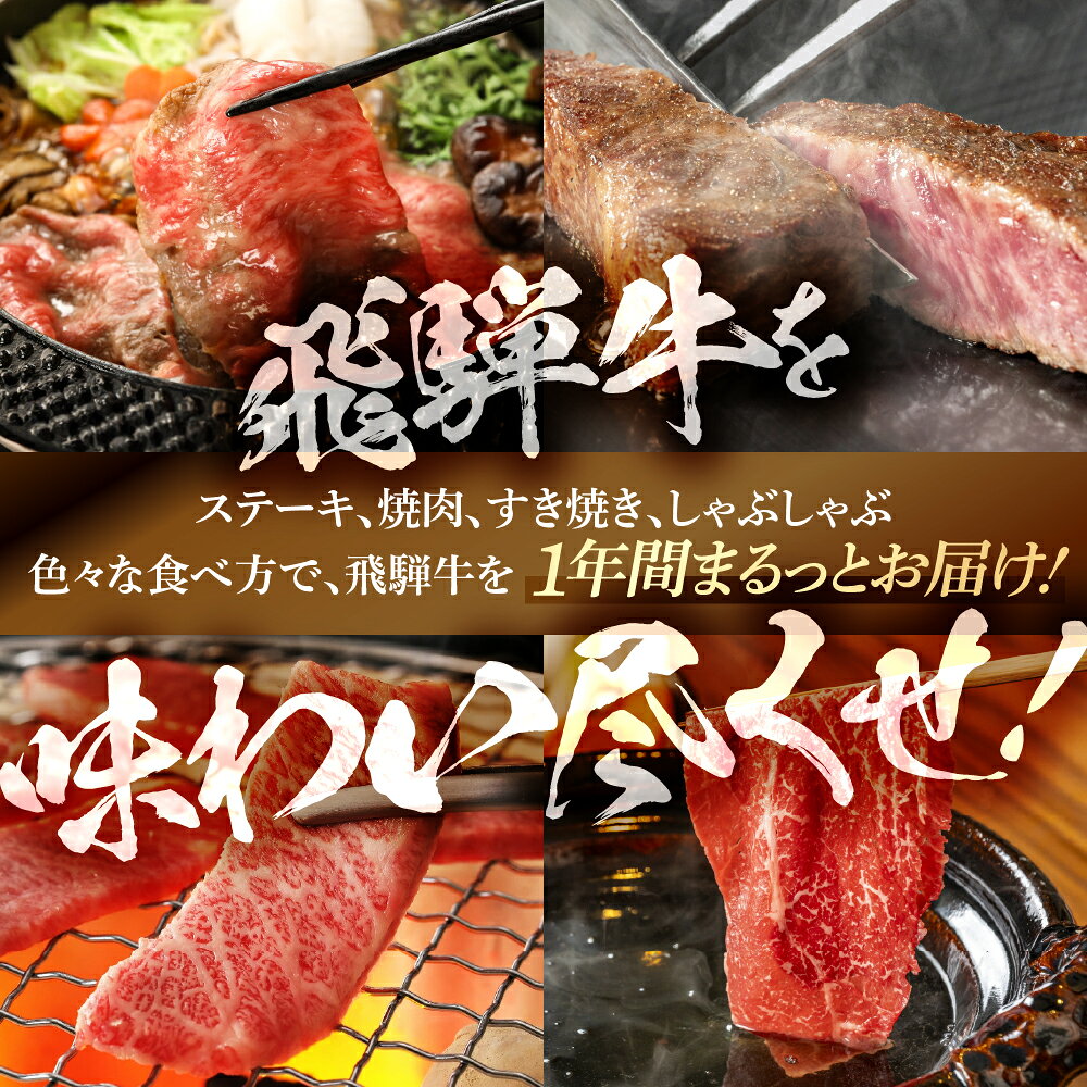 【ふるさと納税】飛騨牛 まるごと1年味わい尽くし定期便（2～3人前、3～5人前）飛...
