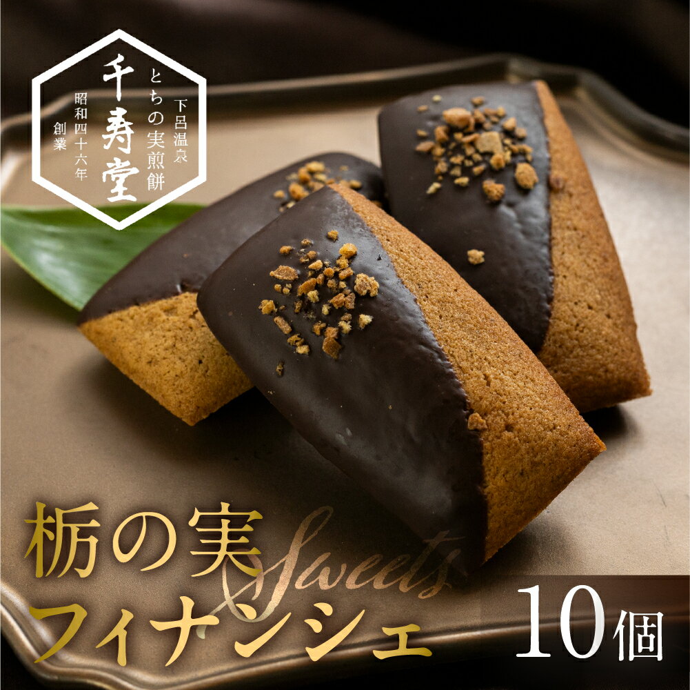 栃の実ショコラフィナンシェ 10個 ショコラ ココア フィナンシェ お菓子 チョコ 贈答 ギフト おすすめ とちのみ 栃の実 焼菓子 洋菓子 10000円 1万円 一万円