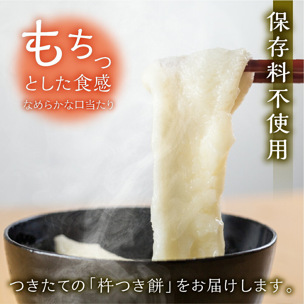 【ふるさと納税】先行予約【2026年11月中旬頃から順次発送】飛騨の生切りもち 4種類セット（白餅・草餅・豆餅・栃餅 各1枚入）【冷凍】 のうさん糀村 餅 もち 切り餅 おせち おもち 下呂市 飛騨 岐阜県