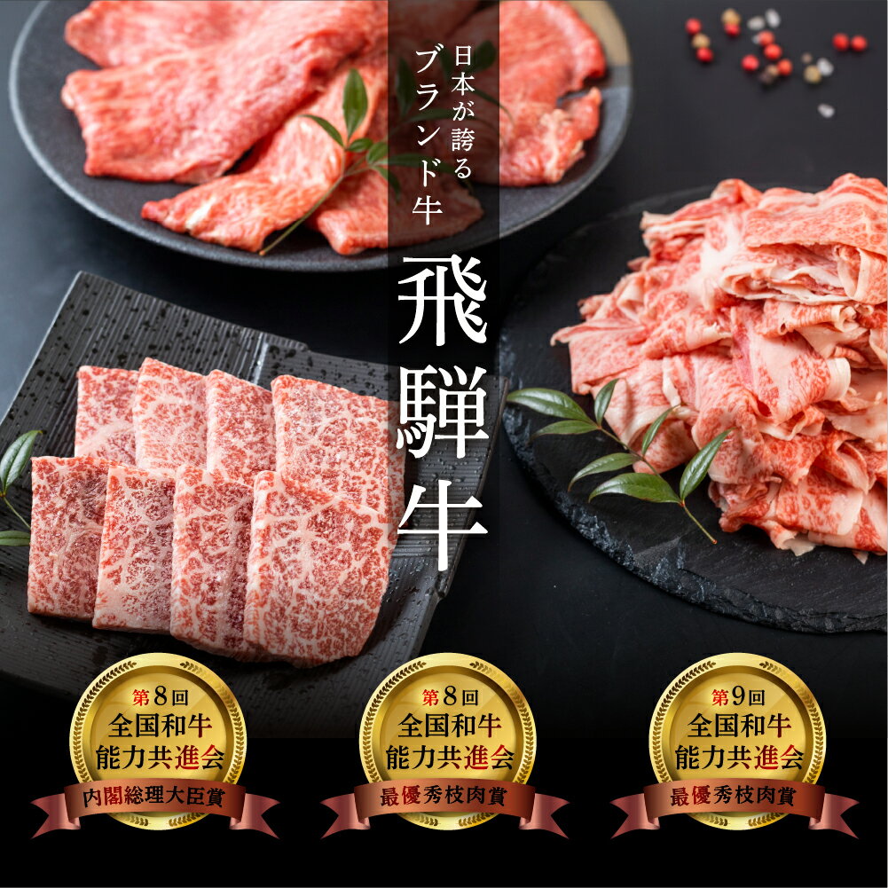 【ふるさと納税】 飛騨牛 ＆ なっとく豚 定期便 4回 牛肉 / 豚肉 食べ比べ (焼肉 / すき焼き / しゃぶしゃぶ / 豚しゃぶ) 下呂温泉 お楽しみ おすすめ ブランド牛 赤身 霜降りミックス 牛肉セット 国産 焼き肉 ギフト 定期便 50,000円 5万円 岐阜県 下呂市 3