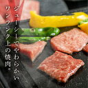 【ふるさと納税】菊の井 飛騨牛 カルビ 焼肉 500g（4～5人前） 焼肉用 おすすめ 牛肉 肉 和牛 赤身 人気 ブランド牛 肉ギフト 国産　贈答品 焼き肉 やきにく ギフト 【冷凍】 19000円 岐阜県 下呂市 3