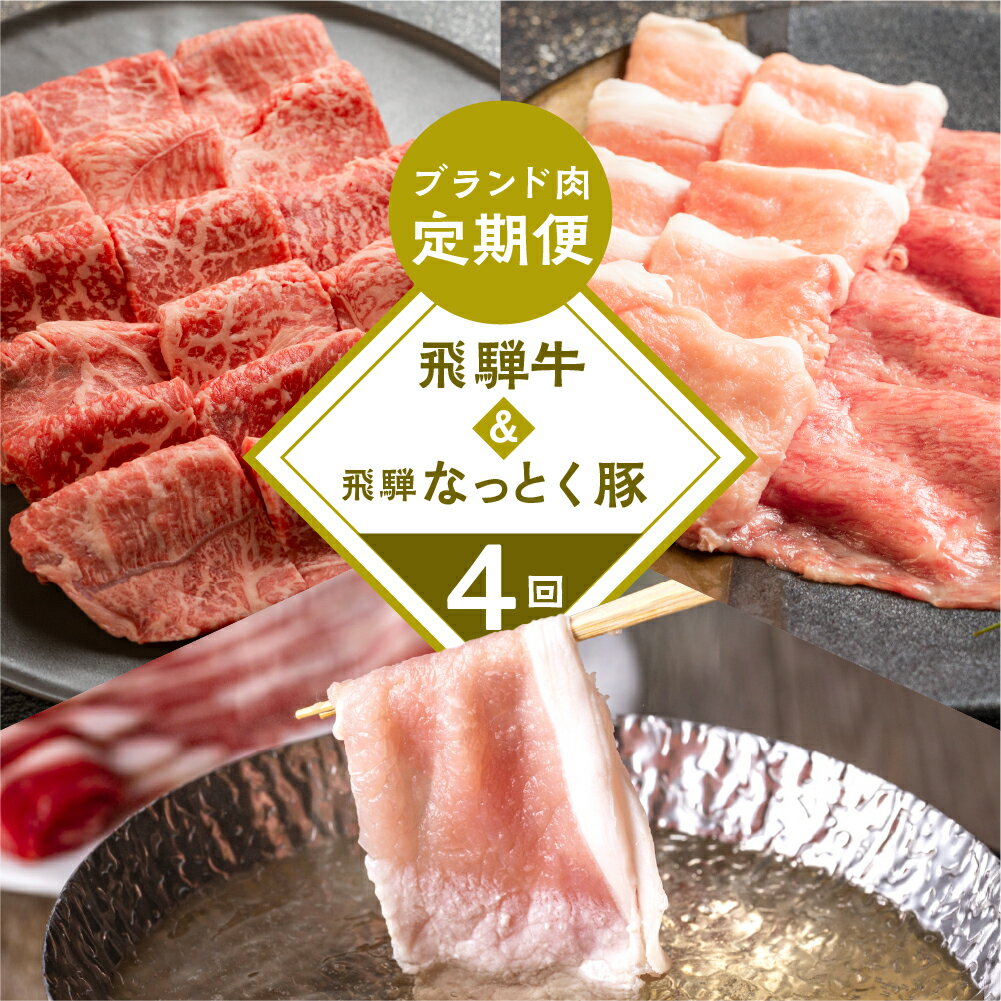 飛騨牛 【ふるさと納税】 飛騨牛 ＆ なっとく豚 定期便 4回 牛肉 / 豚肉 食べ比べ (焼肉 / すき焼き / しゃぶしゃぶ / 豚しゃぶ) 下呂温泉 お楽しみ おすすめ ブランド牛 赤身 霜降りミックス 牛肉セット 国産 焼き肉 ギフト 定期便 50,000円 5万円 岐阜県 下呂市