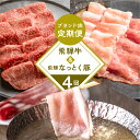 【ふるさと納税】 飛騨牛 ＆ なっとく豚 定期便 4回 牛肉 / 豚肉 食べ比べ (焼肉 / すき焼き / しゃぶしゃぶ / 豚しゃぶ) 下呂温泉 お楽しみ おすすめ ブランド牛 赤身 霜降りミックス 牛肉セット 国産 焼き肉 ギフト 定期便 50,000円 5万円 岐阜県 下呂市