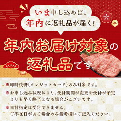 【ふるさと納税】【最高級】配送時期が選べる 飛騨牛 A5ランク サーロイン すき焼き 1000g 1kg 年内配送　年内発送　下呂温泉 おすすめ 牛肉 肉 和牛 霜降り 人気 ブランド牛 肉ギフト 国産 贈答品 すき焼き用 ギフト 霜降り飛騨牛 60000円･･･ 画像1