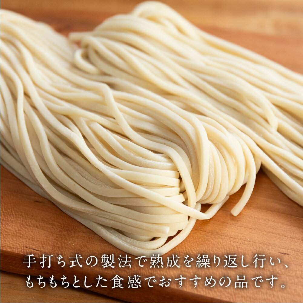 【ふるさと納税】【訳あり】簡易包装　生うどん 5人前×2袋 めんつゆ付き 10食セット【丸中製麺所】ラーメン 高山ラーメン 自家製麺 飛騨 下呂市 うどん 生うどん 5000円