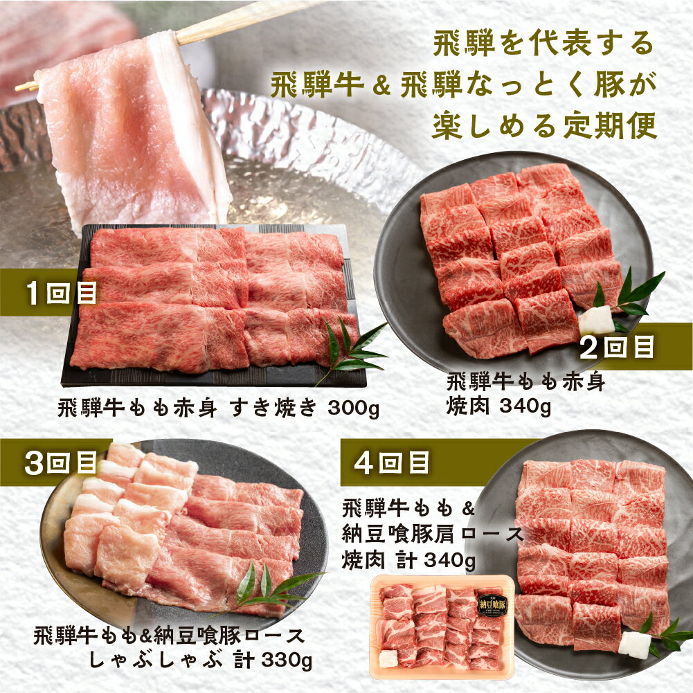 【ふるさと納税】 飛騨牛 ＆ なっとく豚 定期便 4回 牛肉 / 豚肉 食べ比べ (焼肉 / すき焼き / しゃぶしゃぶ / 豚しゃぶ) 下呂温泉 お楽しみ おすすめ ブランド牛 赤身 霜降りミックス 牛肉セット 国産 焼き肉 ギフト 定期便 50,000円 5万円 岐阜県 下呂市