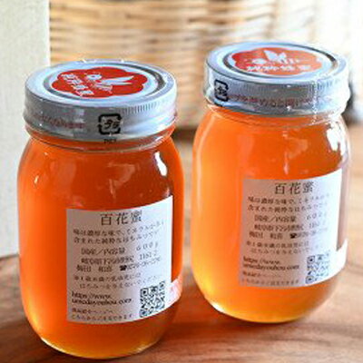 【ふるさと納税】下呂産純粋はちみつ(百花蜜600gtimes;2本)蜂蜜ハチミツはちみつ下呂温泉おすすめ国産国産ハチミツ純粋百花蜜単花蜜