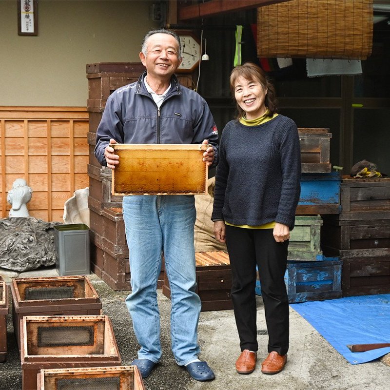 【ふるさと納税】下呂産純粋はちみつ(百花蜜600gtimes;2本)蜂蜜ハチミツはちみつ下呂温泉おすすめ国産国産ハチミツ純粋百花蜜単花蜜